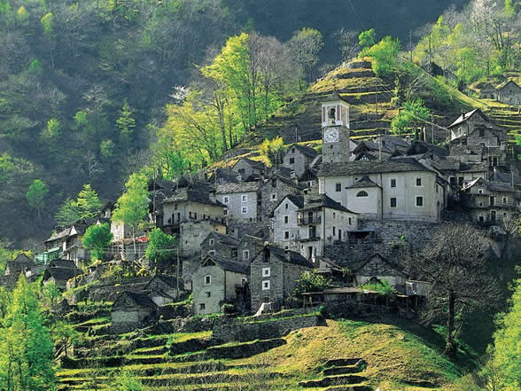 Two surfers walking on the beach