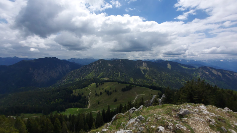 A lonely tree above the fog